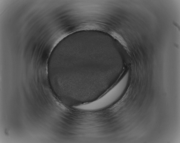 X0000091341226200708311450