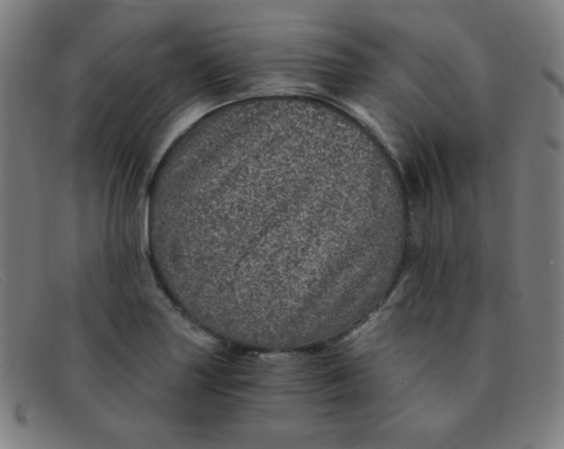 X0000091341227200708311450