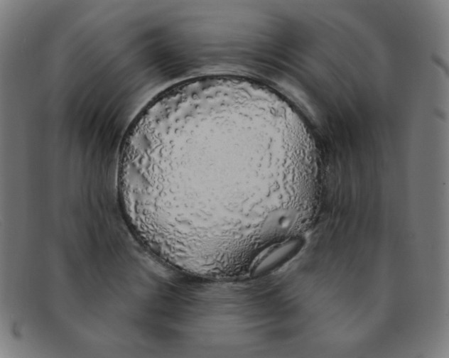 X0000091341228200708311450