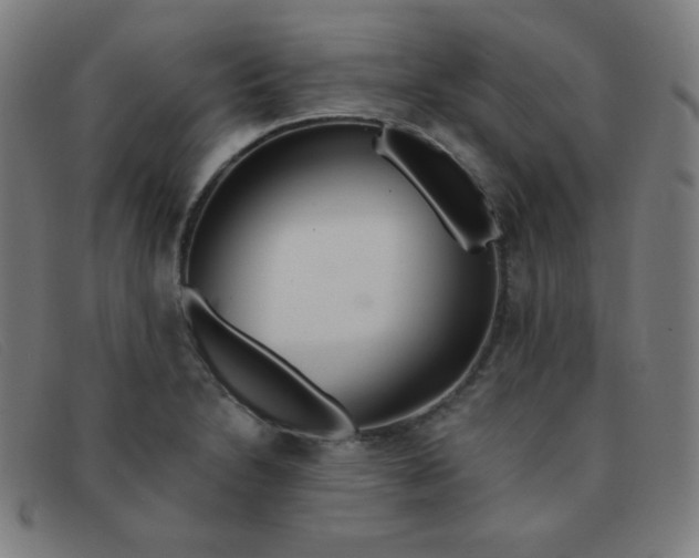 X0000091341230200708311450