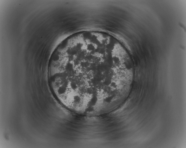 X0000091341231200708311450