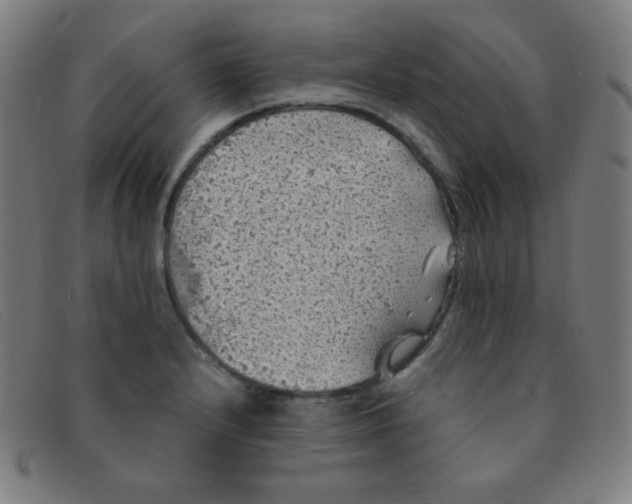 X0000091341232200708311450