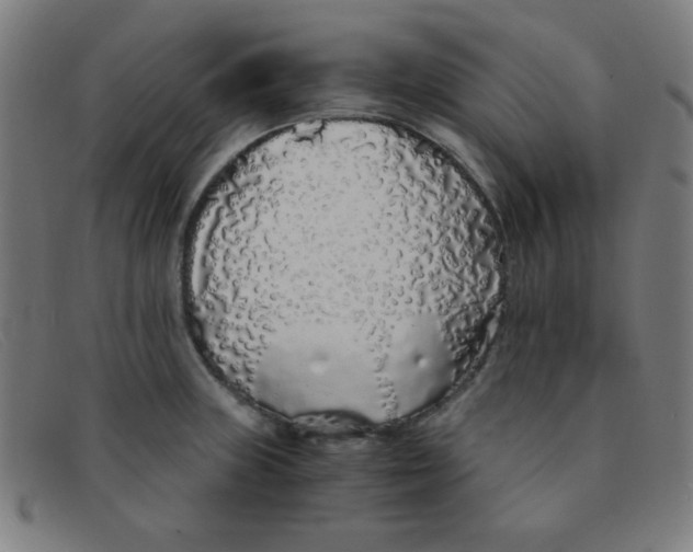 X0000091341235200708311450