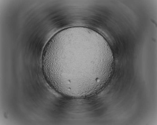 X0000091341236200708311450