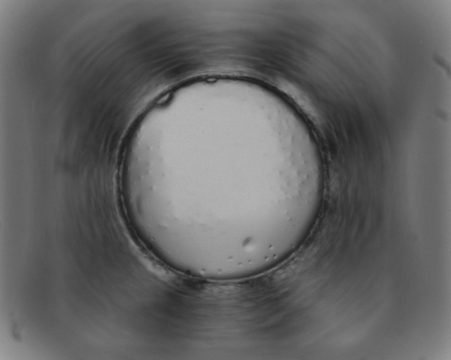 X0000091341237200708311450