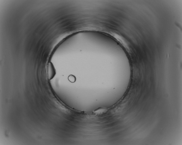 X0000091341238200708311450