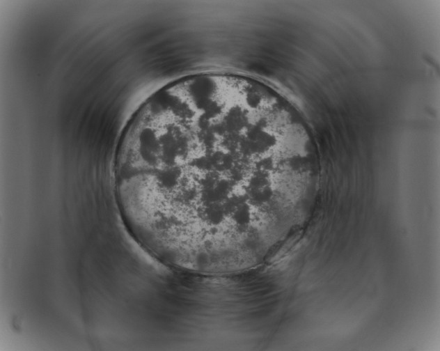 X0000091341239200708311450