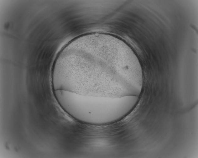 X0000091341240200708311450