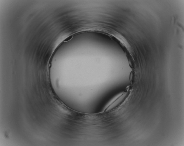 X0000091341242200708311450