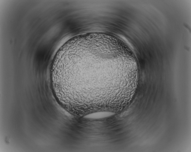 X0000091341243200708311450