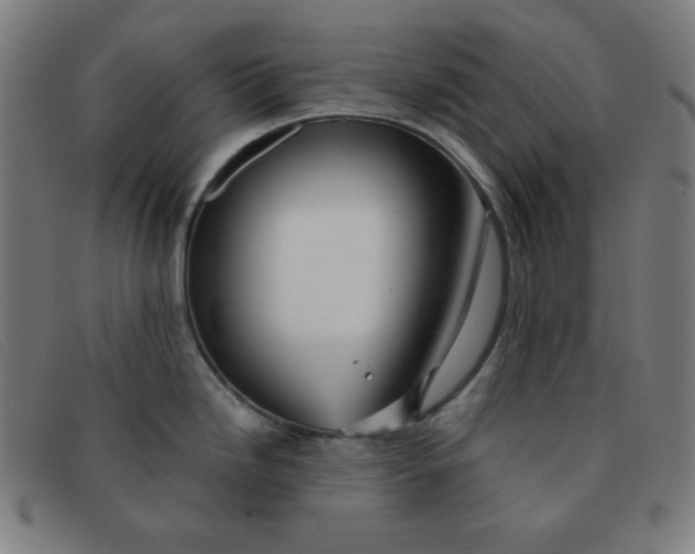 X0000091341246200708311450