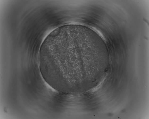 X0000091341247200708311450