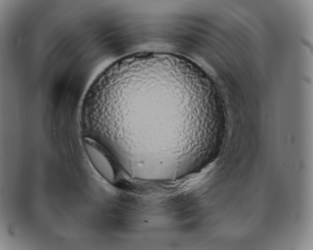 X0000091341248200708311450