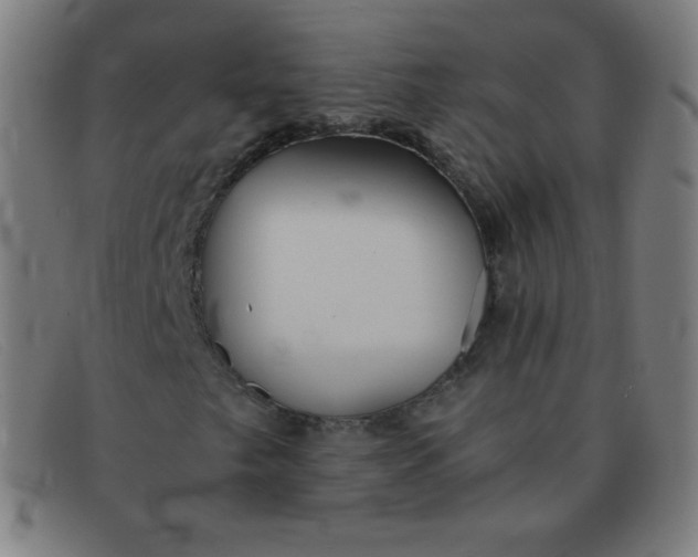 X0000091341249200708311449