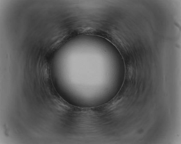 X0000091341250200708311449