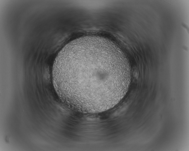 X0000091341252200708311449