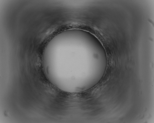 X0000091341253200708311449