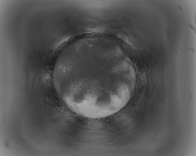 X0000091341254200708311449