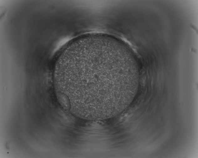 X0000091341255200708311449