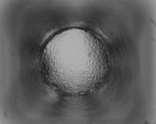 X0000091341256200708311449