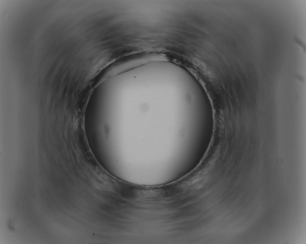 X0000091341257200708311449