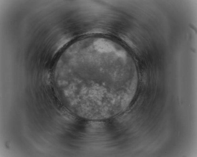 X0000091341258200708311449