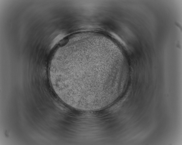 X0000091341259200708311449