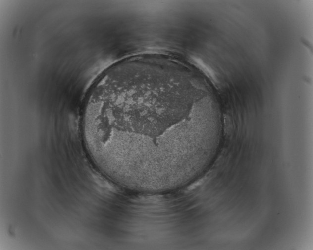 X0000091341260200708311449