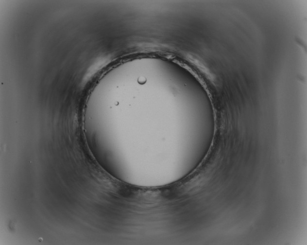 X0000091341261200708311449