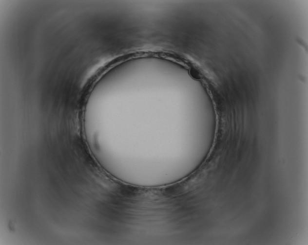 X0000091341262200708311449