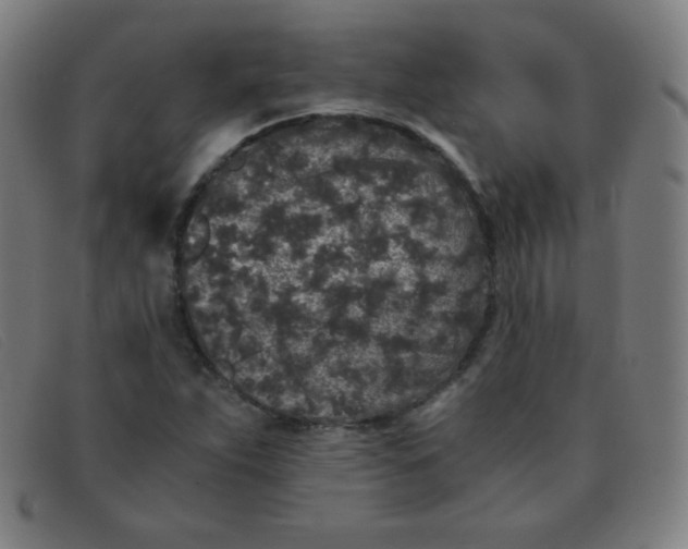 X0000091341263200708311449