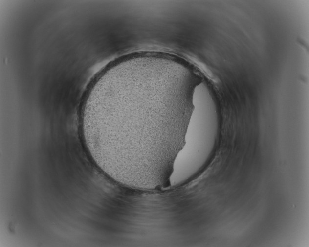 X0000091341264200708311449