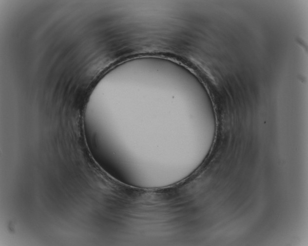 X0000091341265200708311449