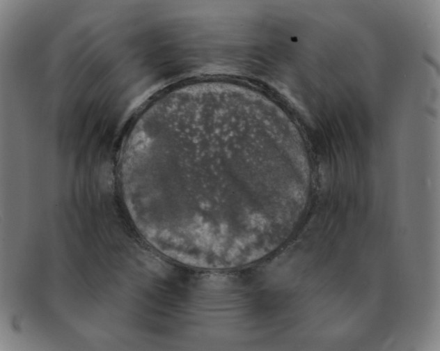 X0000091341266200708311449