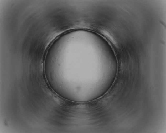 X0000091341268200708311449