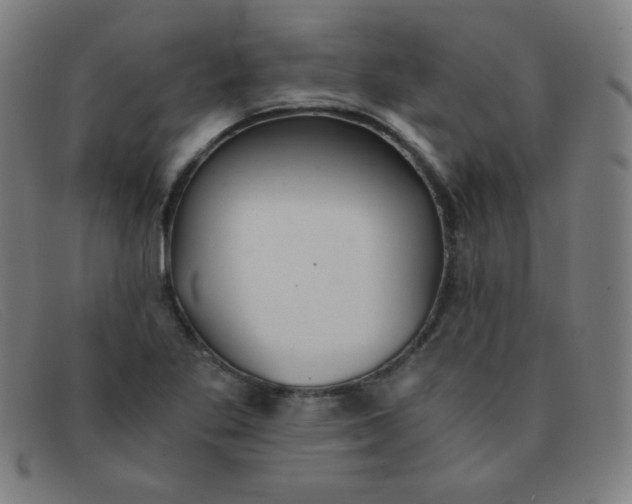 X0000091341269200708311449