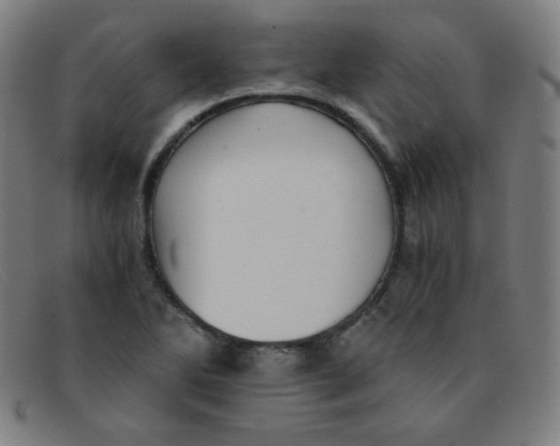 X0000091341270200708311449