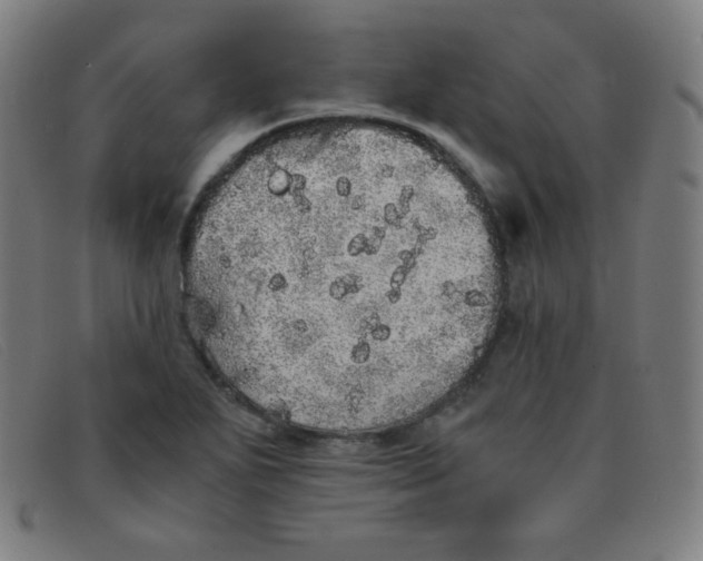 X0000091341271200708311449