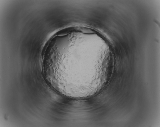 X0000091341272200708311449