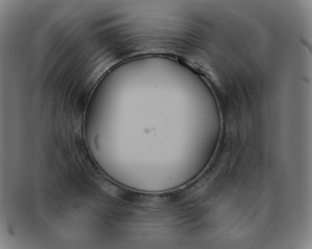 X0000091341273200708311449