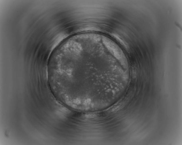 X0000091341274200708311449