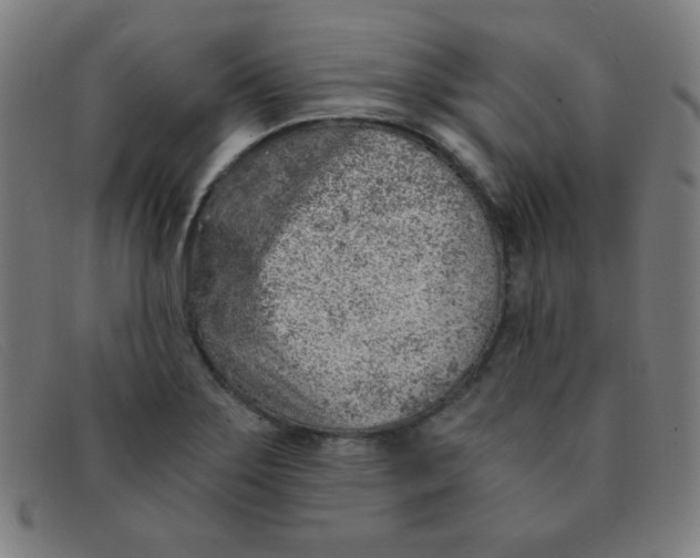 X0000091341275200708311449