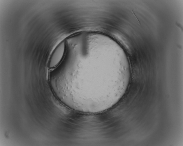 X0000091341276200708311449