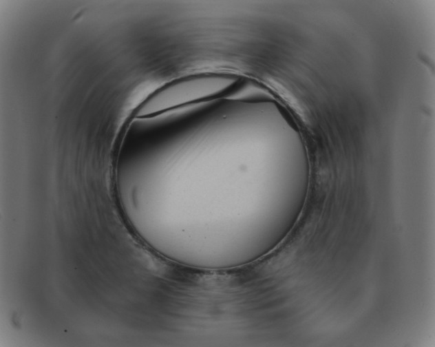 X0000091341277200708311449