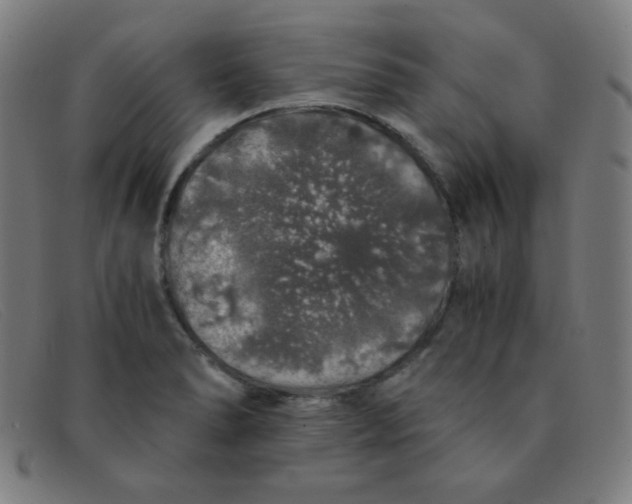 X0000091341278200708311449