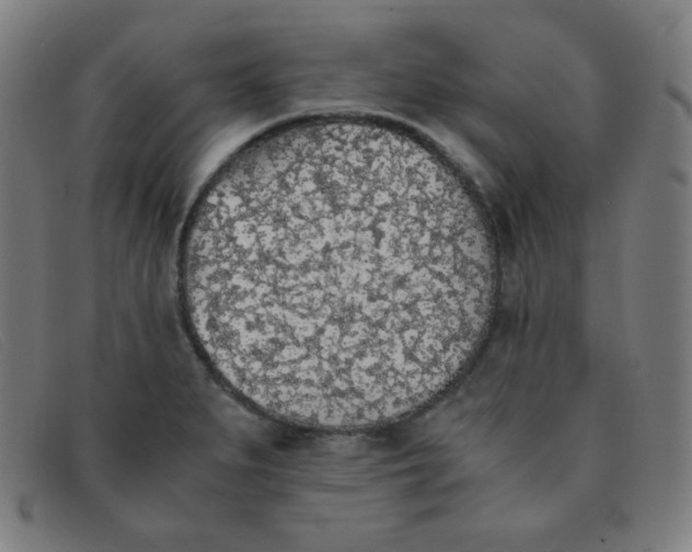 X0000091341279200708311449