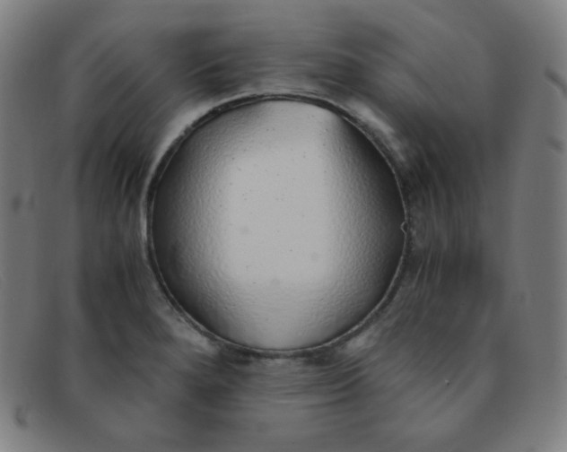 X0000091341280200708311449