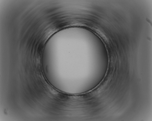 X0000091341281200708311449