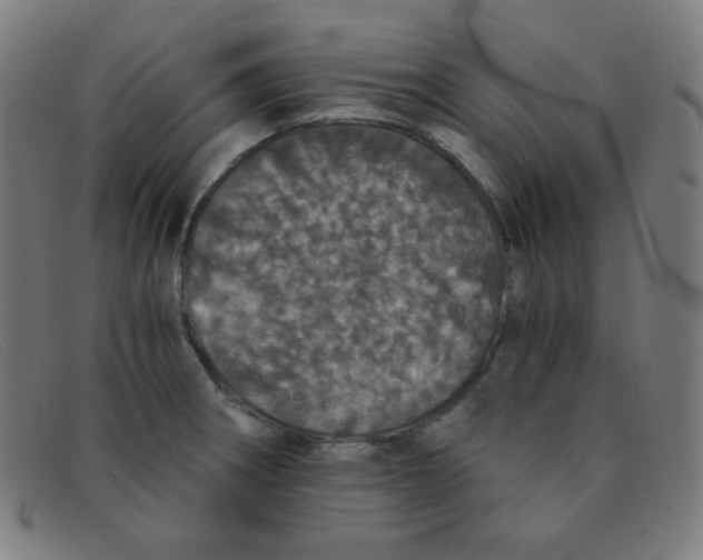 X0000091341282200708311449