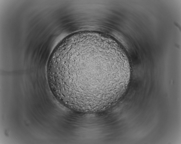 X0000091341283200708311449